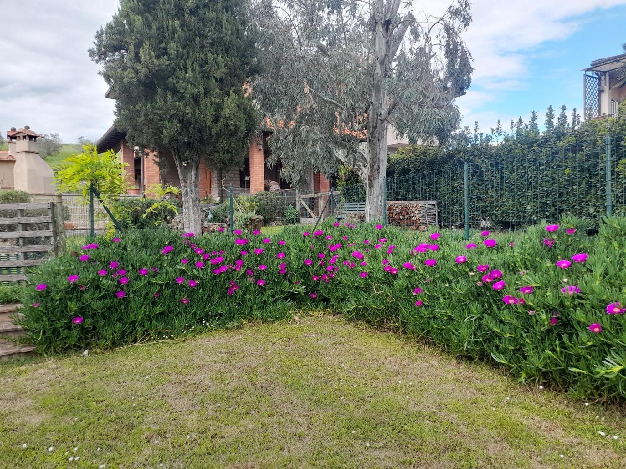 Agriturismo Santa Adriana Volterra Exterior foto